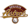 Hungarian Astros Softball